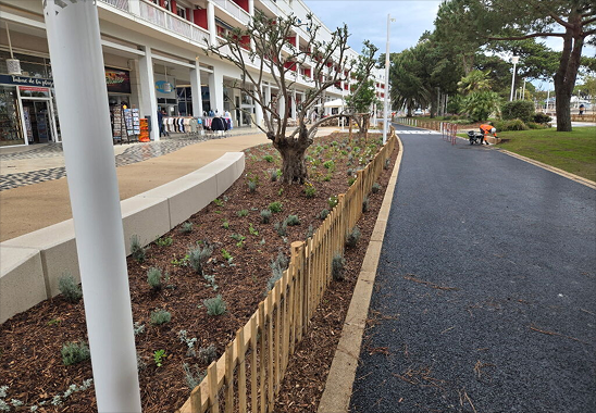 Aménagement urbain grands espaces et parcs