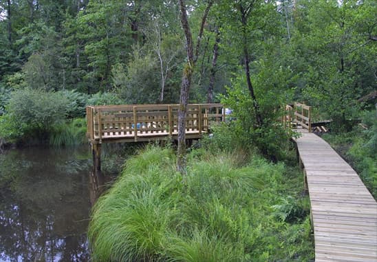 Gestion écologique des espaces naturels et urbains